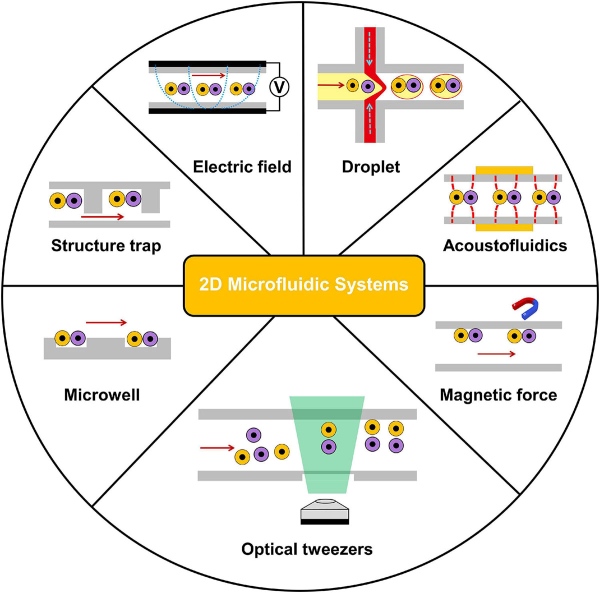 Fig. 1 2D microfluidics-based systems for intercellular interaction study at the single-cell level