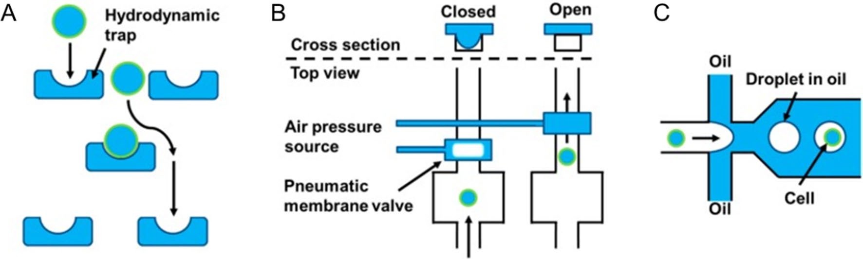 Fig. 2 Different principles of microfluidics for single cell analysis