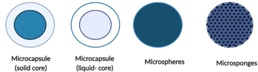 Fig. 1 Types of microparticles