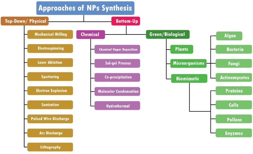 Illustration of synthesis methods of nanoparticles (Altammar K. A. (2023). “A review on nanoparticles: characteristics, synthesis, applications, and challenges.” Front. Microbiol. 14, 1155622)